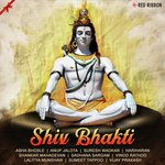 Shiv Bhakti - Raghunath Dubey Song Download